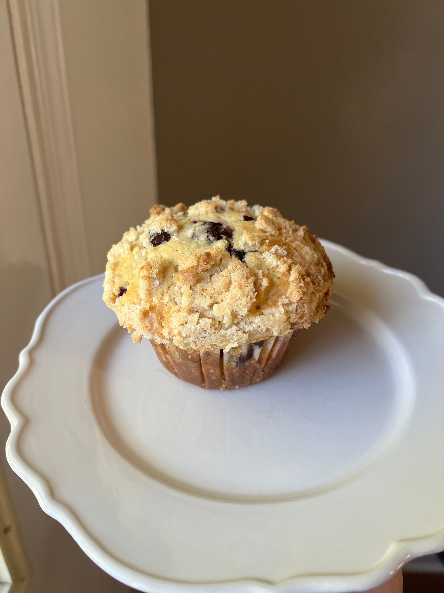 Jumbo Muffins (6)